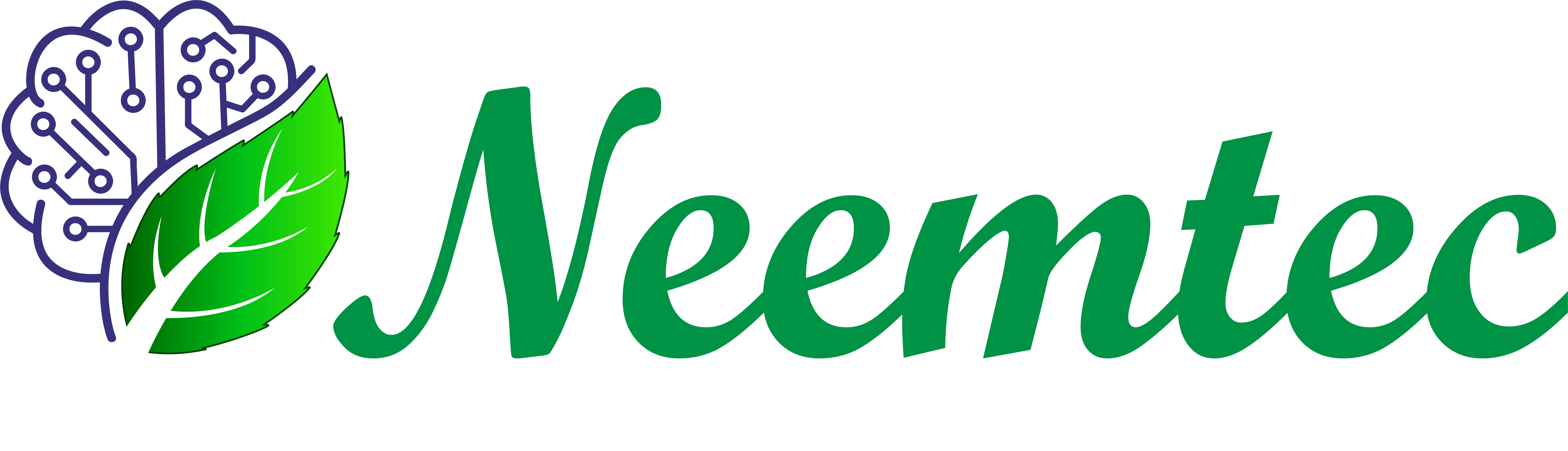 Neemtec Solutions Logo